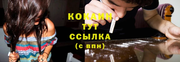 крисы Арсеньев