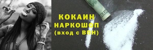 шишки Баксан