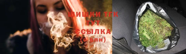 шишки Баксан