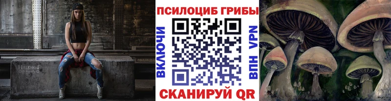 Галлюциногенные грибы мицелий Новосокольники